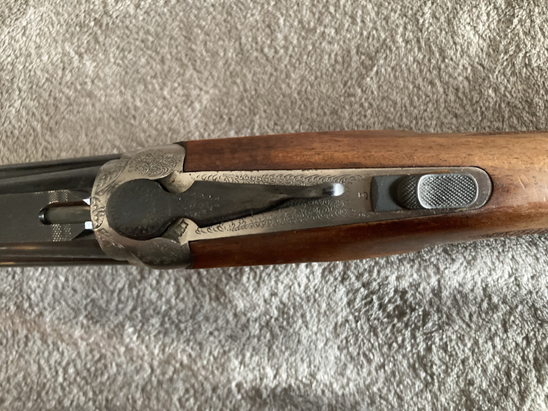 BBF 5.6x50r Mag/ 12/70 – stampa 4