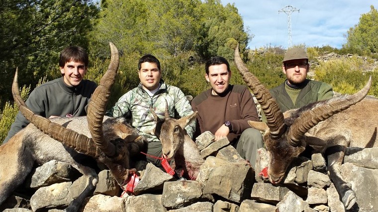 Steinbockjagd Spanien inkl. Abschuss ab € 3750.- – slika 2