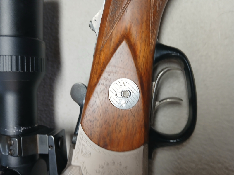BBF Blaser – Bild 3