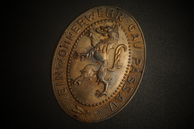 Freikorps WK1 Ärmelschild Gau Passau – imaginea 1