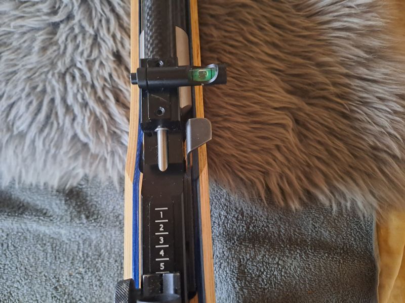 Walter LG300 Junior mit Anschützdiopter – Bild 6