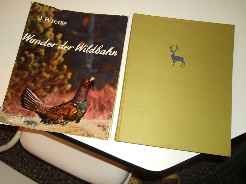 Wunder der Wildbahn. Auf Fotopirsch in Wald, Berg und Moor von J. Roedle. – Bild 1