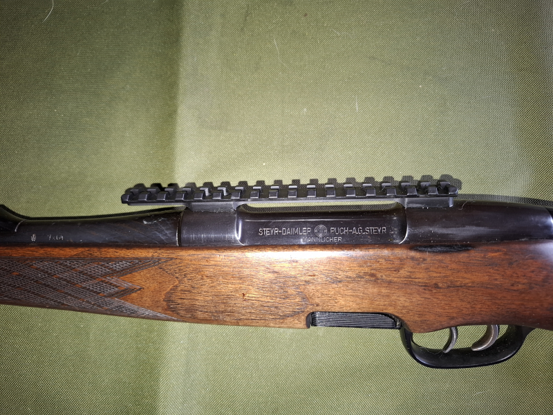 Steyr Stutzen – slika 1