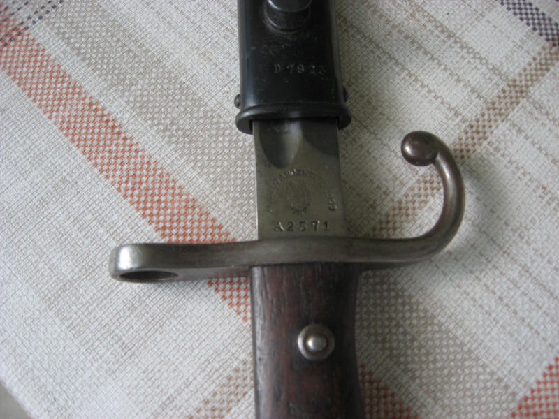 Argentino 1909 – slika 1