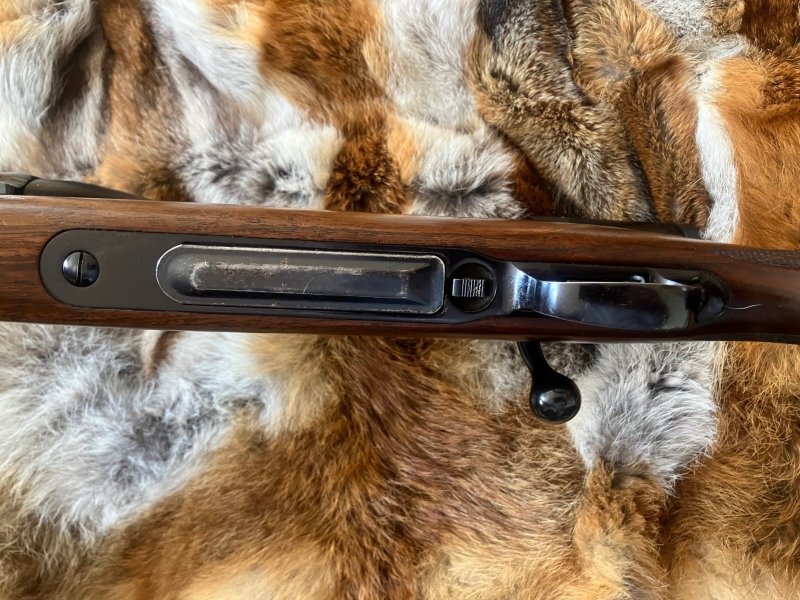 Sauer 80 im Kaliber 7x64 mit Swarovski Z6i 2-12x50 – Bild 4