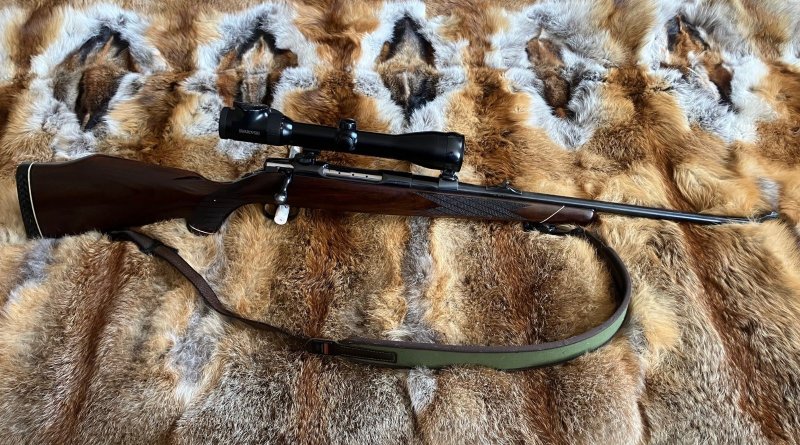 Sauer 80 im Kaliber 7x64 mit Swarovski Z6i 2-12x50 – Bild 1