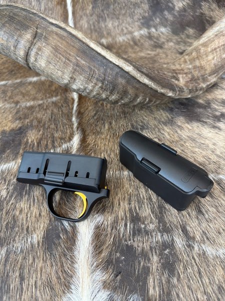 Blaser R8 Profesional / Holz Abzugsgruppe goldfarbener Abzug Magazin Waffen Flühr Ansbach – Bild 1