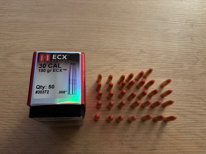 .308 Hornady ECX Geschosse 150 Grain – Bild 1