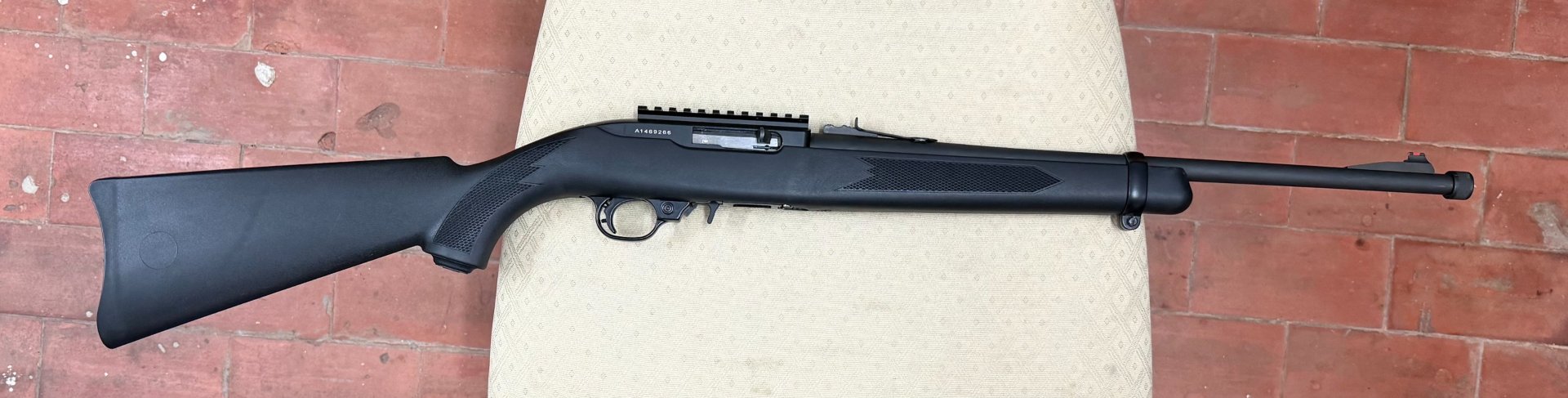 Ruger 10/22 Clone - Webley&Scott X22 mit Gewinde – Bild 2