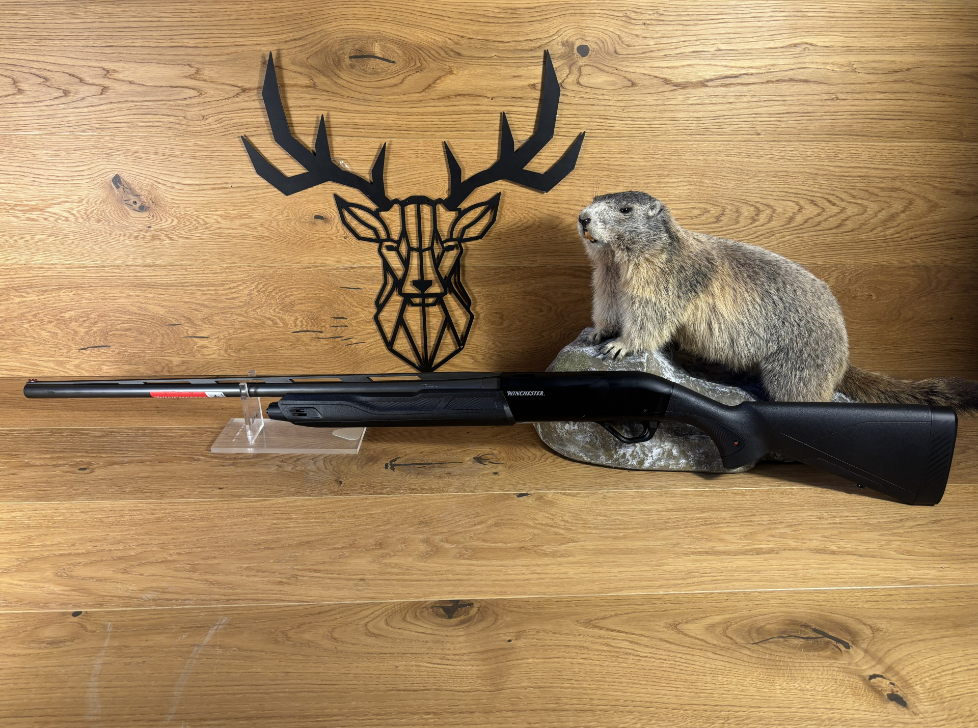 Winchester SX4 Composite Black - 12/89 - 71cm - Wechselchoke - Waffen Schlemmer Ingolstadt – Bild 1
