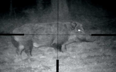 PARD Nachtsichtgerät NV007A – Bild 2