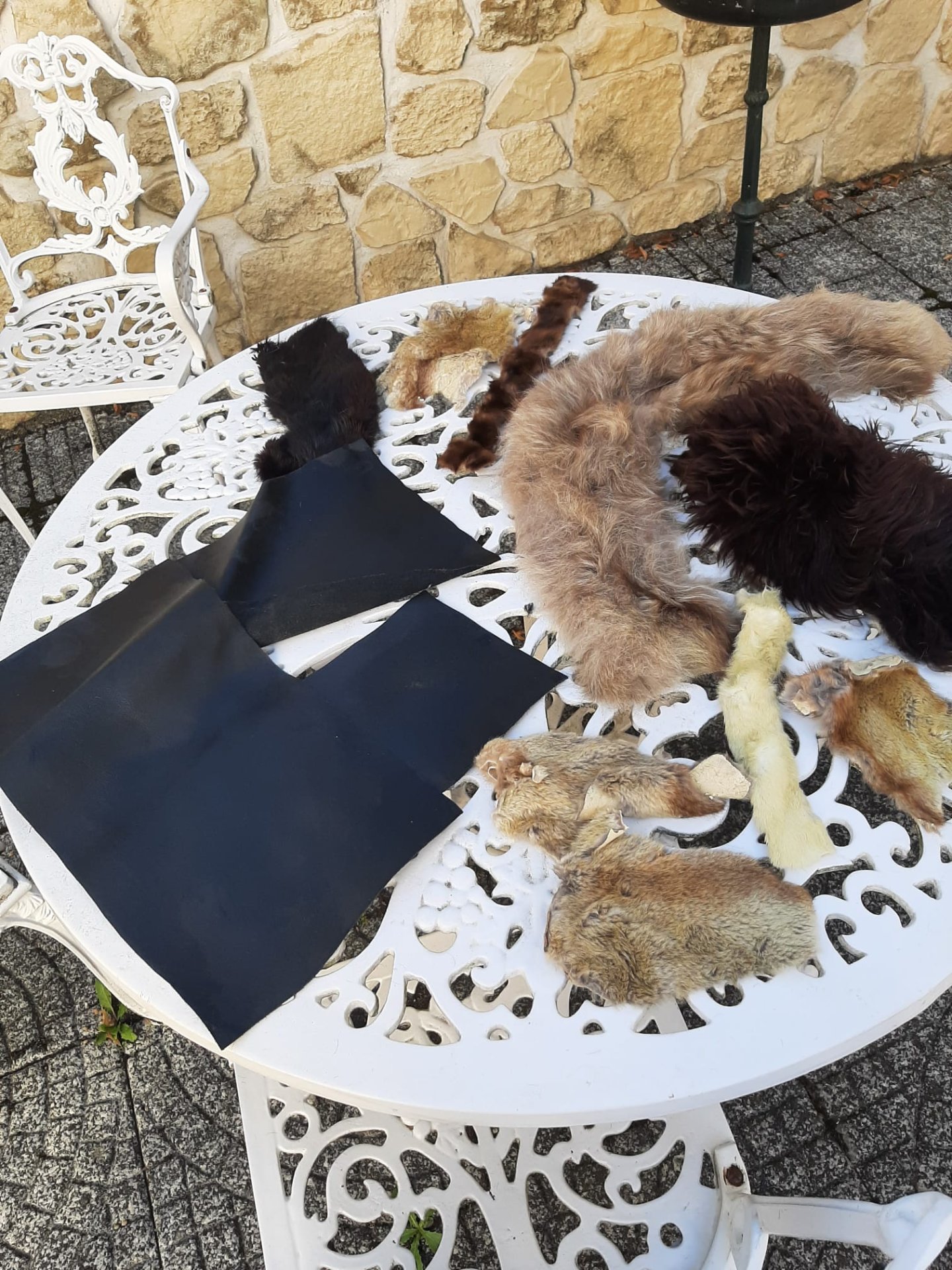 Fell und Lederreste – Bild 1
