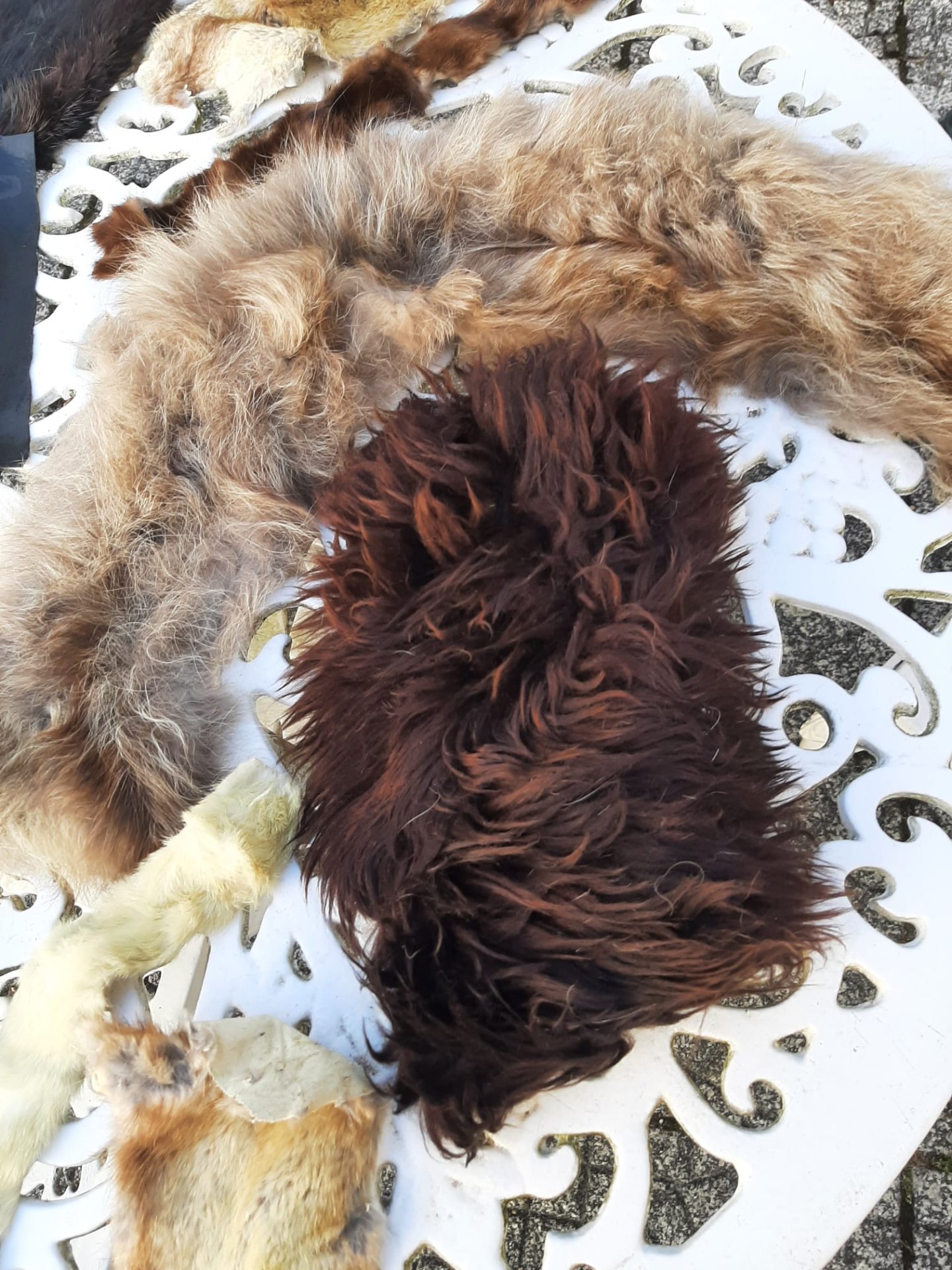 Fell und Lederreste – Bild 2