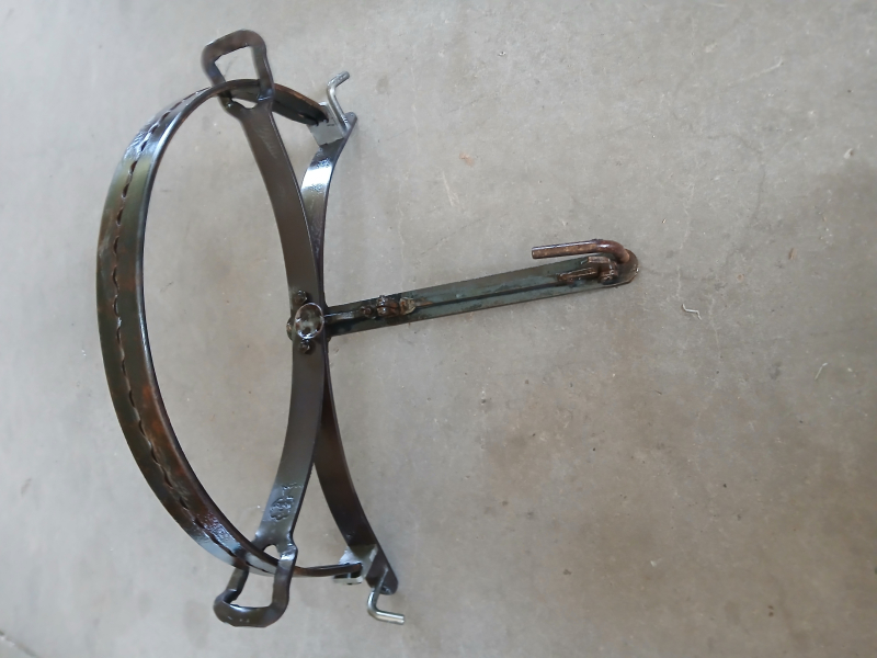 Schwanenhals BW 56 cm – Bild 1