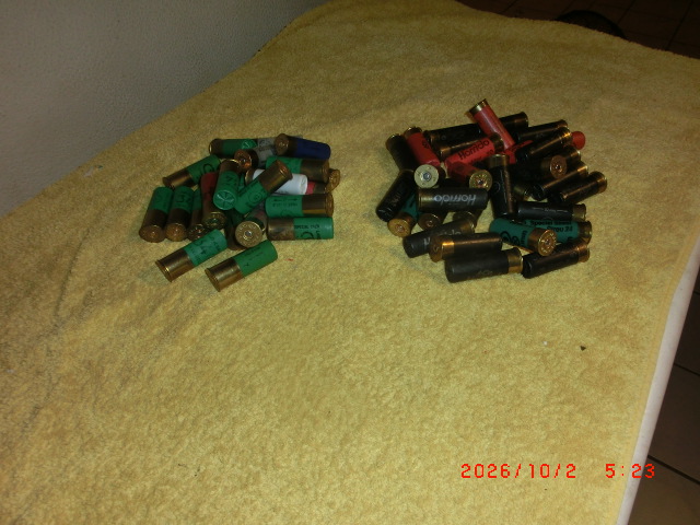 Jagd Schrotpatronen Konvolut – Bild 1