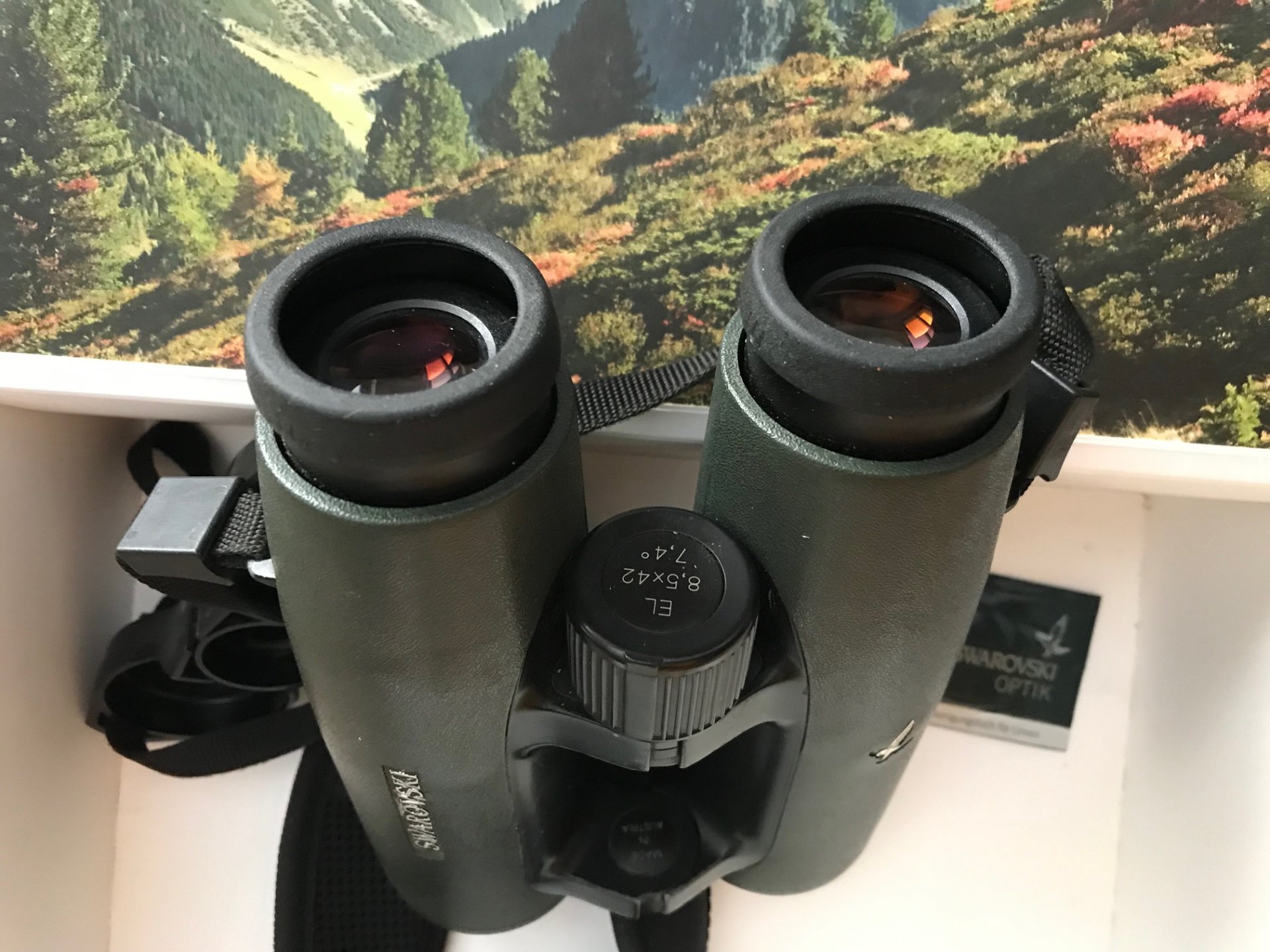 SWAROVSKI EL 8,5x42 WB FERNGLAS der SPITZENKLASSE – Bild 2