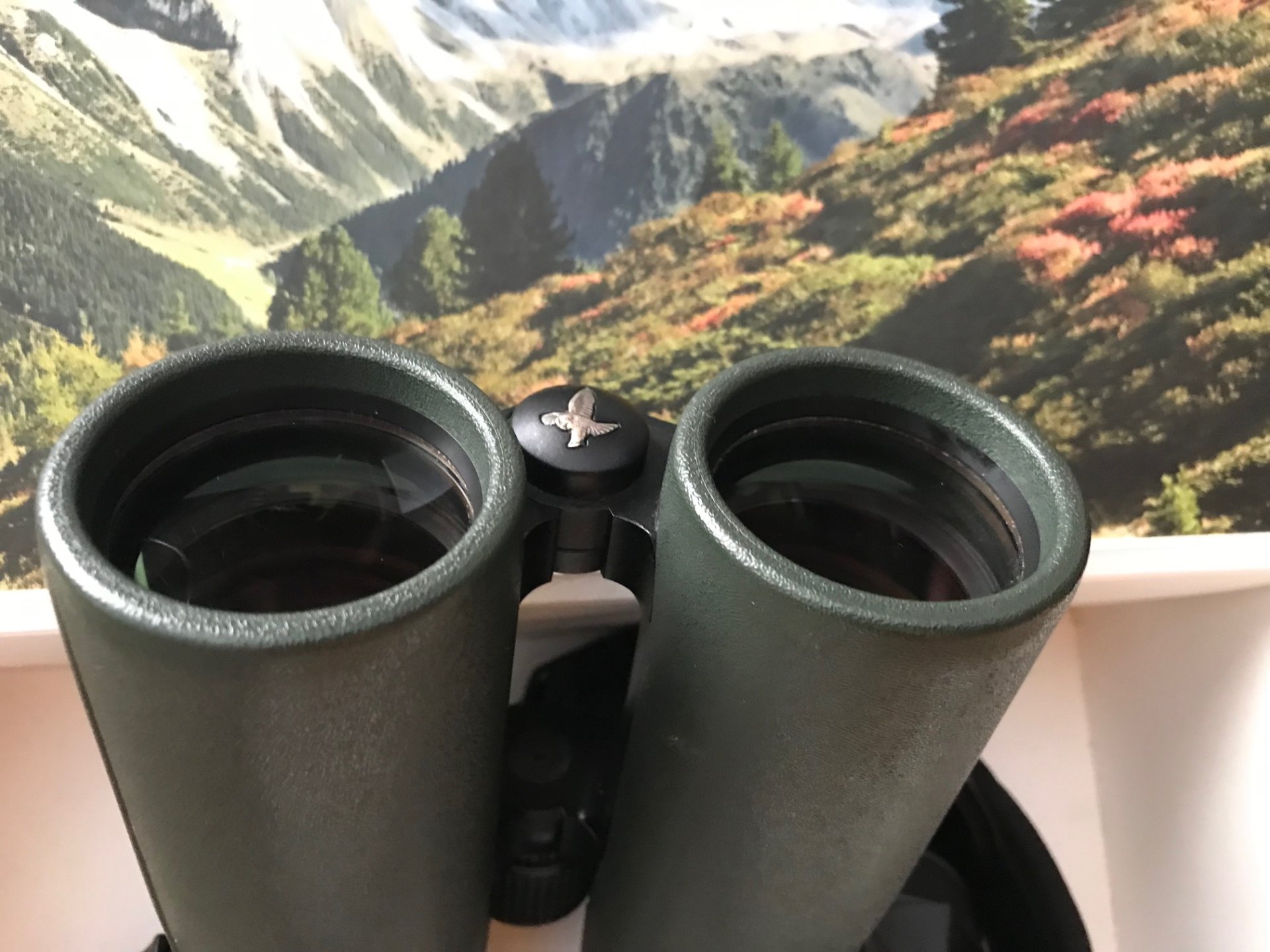 SWAROVSKI EL 8,5x42 WB FERNGLAS der SPITZENKLASSE – Bild 3