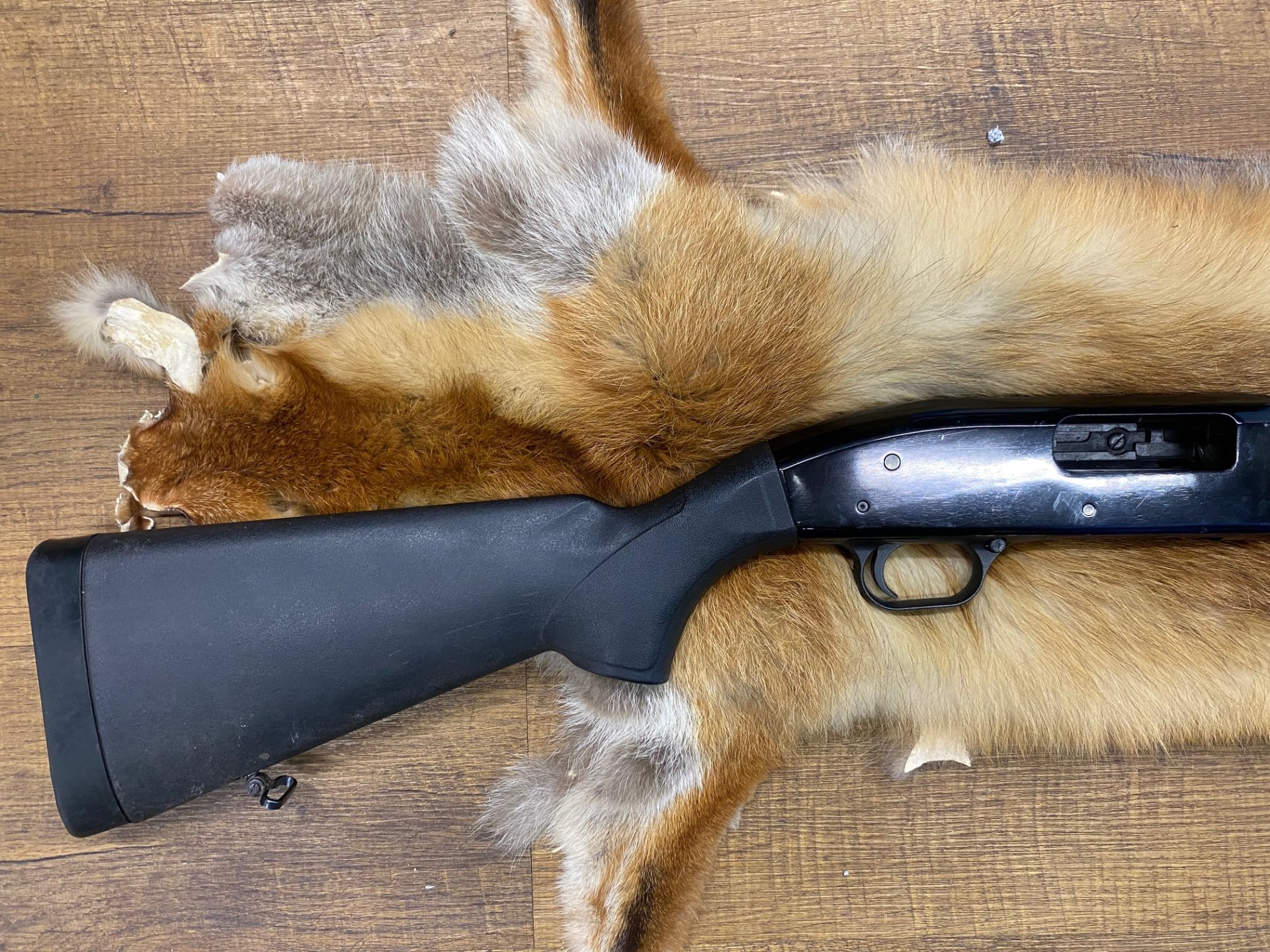 Mossberg Maverick Mod. 88 12/76 – Bild 2