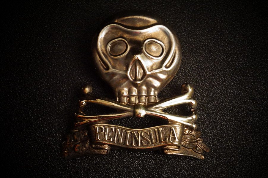 WK1 Peninsula Totenkopf, groß, für Pickelhaube, Auflager, geprägt – Bild 1