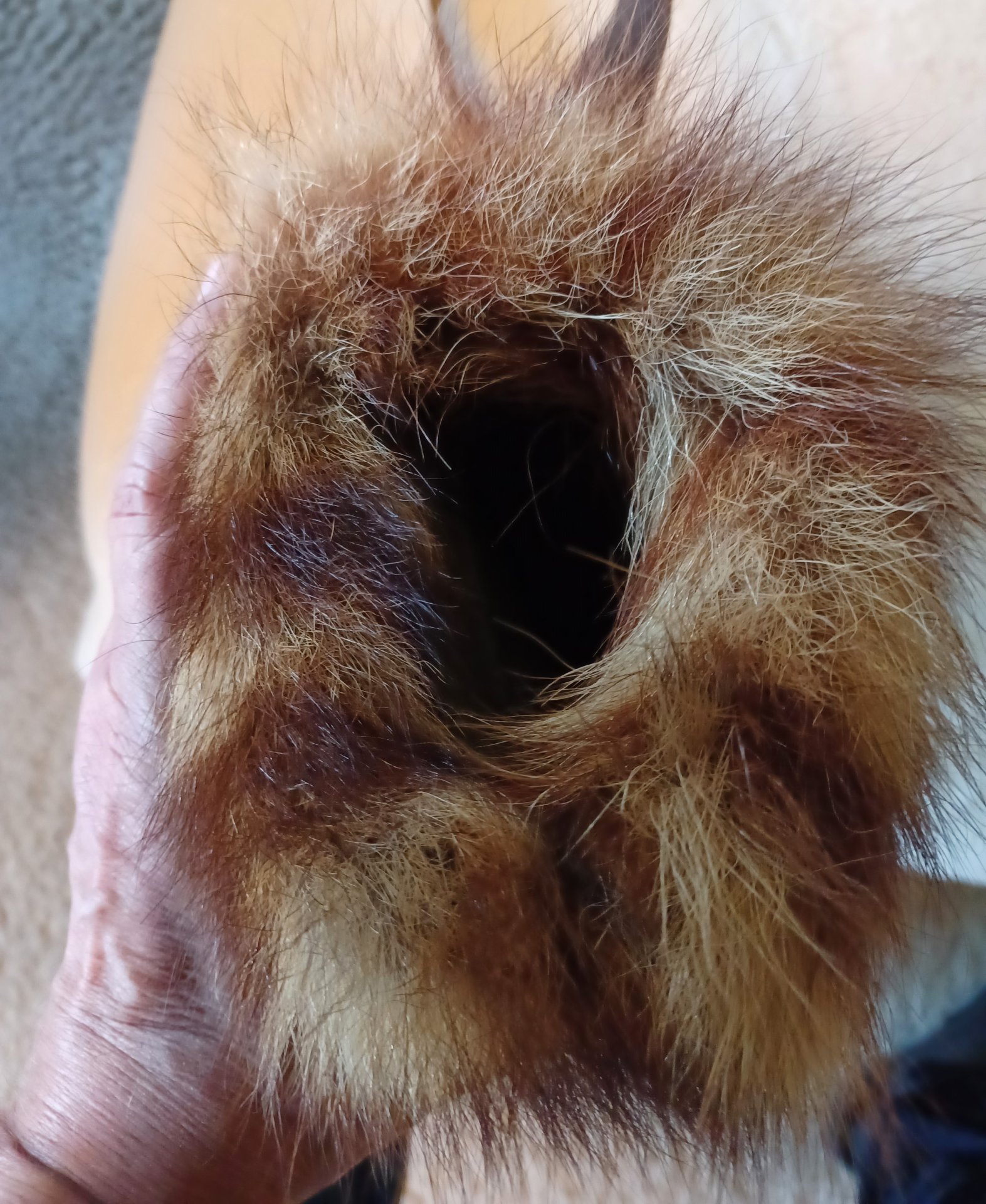 Jagdtasche, Trapper, Jagd, Tasche mit eingearbeiteten Muff – Bild 3