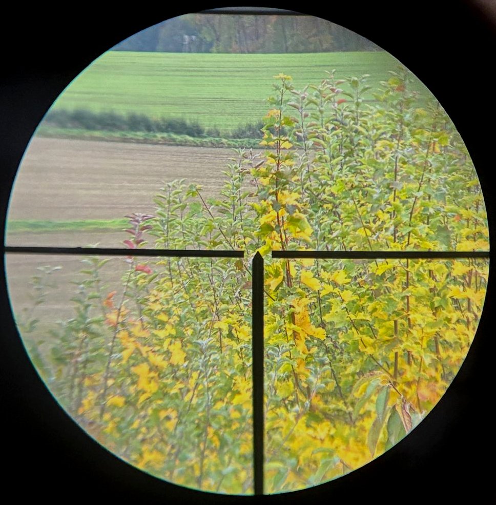 altes Zielfernrohr mit kurzer Seitenmontage – Bild 1