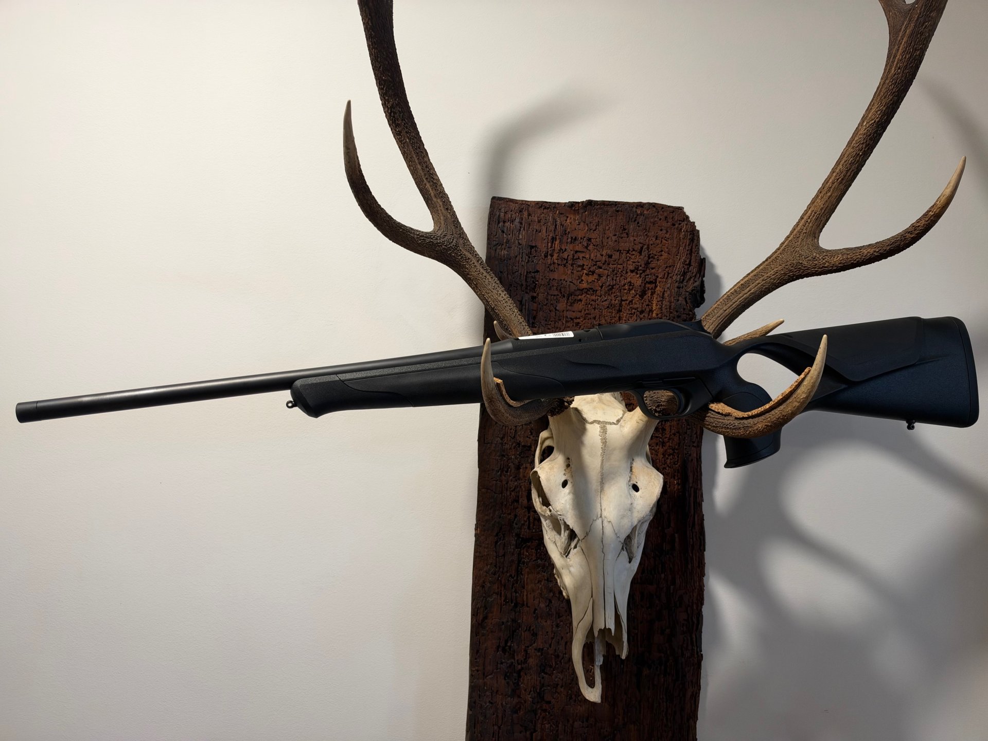 Blaser R8 Prof. Success, Kal.308, 30-06, 8x57, 8,5x55 , Neu u.sofort lieferbar v. Willenbach GmbH – Bild 3
