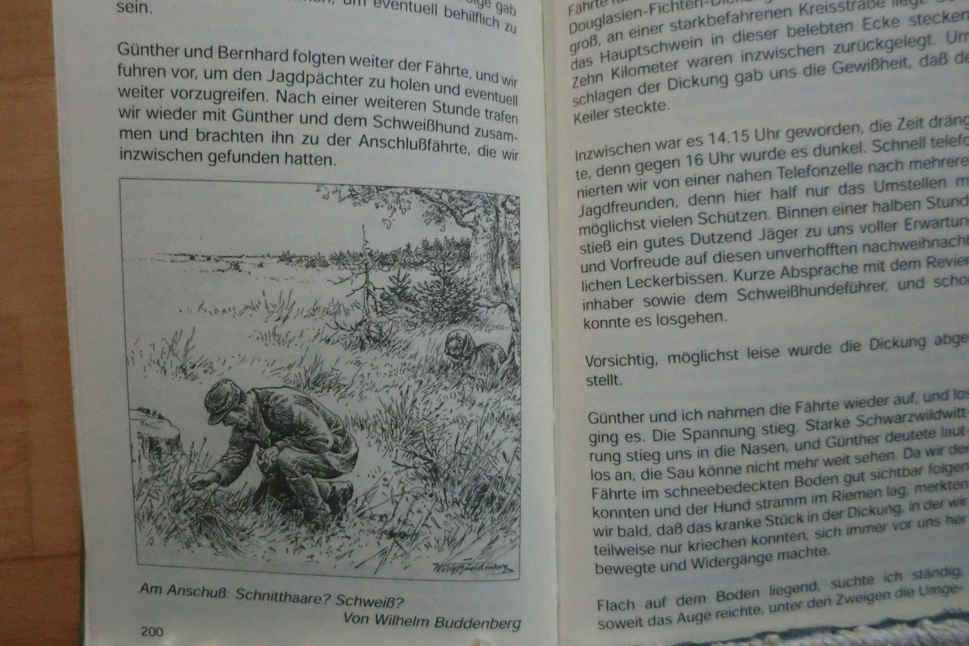 JAGDHELFER, FREUNDE, LEBENSRETTER - Mit Hunden durch dick und dünn – Bild 2