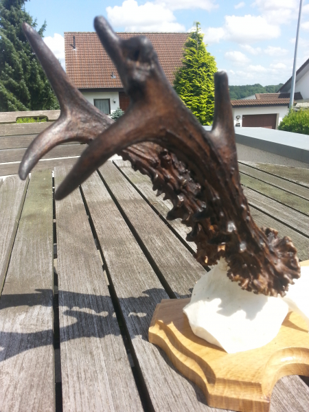 Fewo mit Jagdmöglichkeit im Westerwald 4 Übernachtungen 3 Zahlen ! !! – image 2