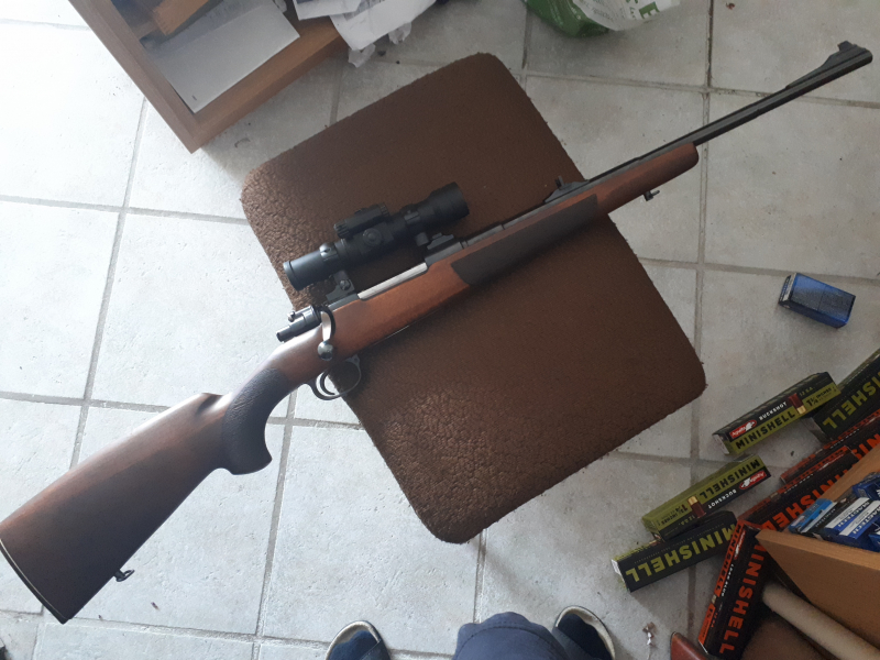 Drückjagd Rep. 7x57 Aimpoint – Bild 2