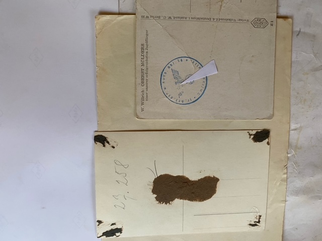 Dt.Reich Luftwaffe Ritterkreuz Oberst Mölders Orden Stuka JU87 No P38 P08 – Bild 3