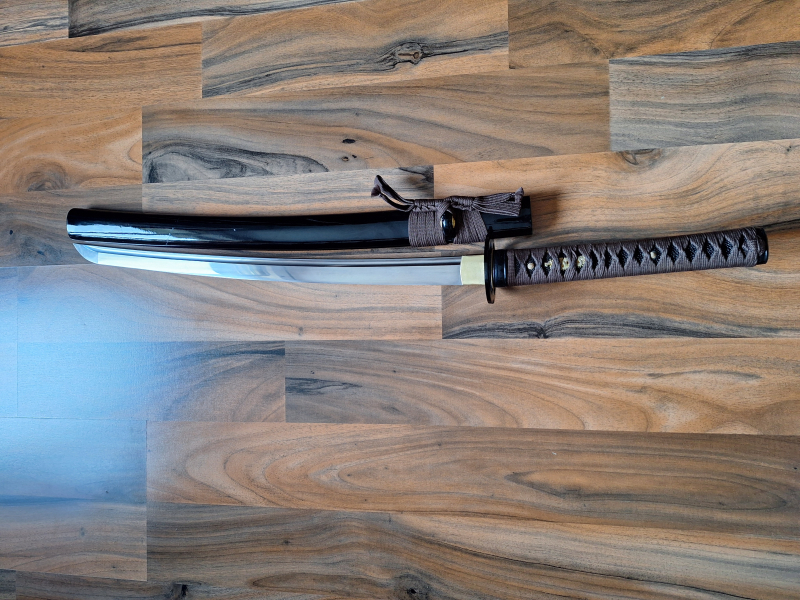 Wakizashi – Custom-Anfertigung – 9260 Federstahl – Bild 2