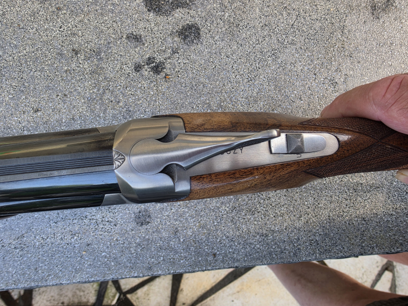 Blaser B 95 .308/12-76 – obrázek 4