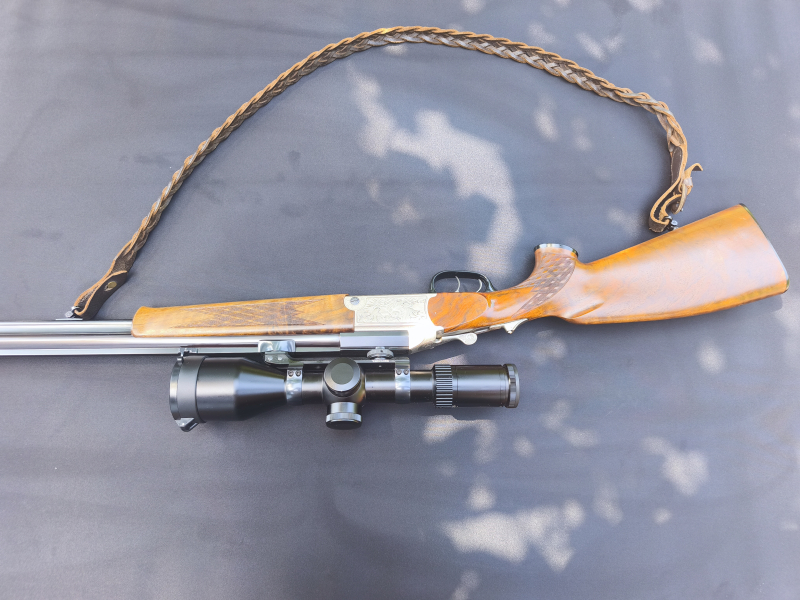 Blaser BBF 700/88 – .243 Win & 20/76 – Edelgravur, Recknagel – Bild 4
