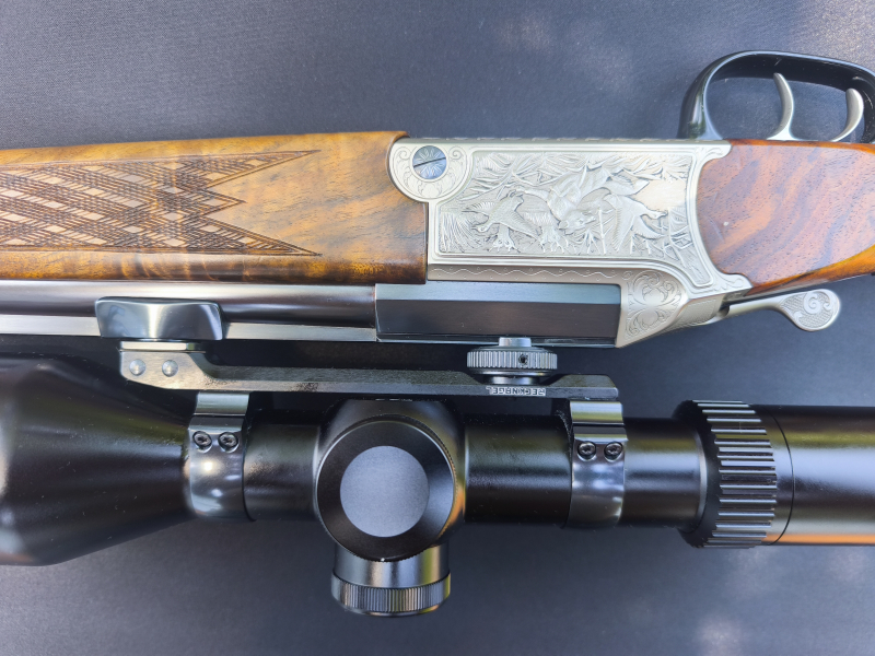 Blaser BBF 700/88 – .243 Win & 20/76 – Edelgravur, Recknagel – Bild 5