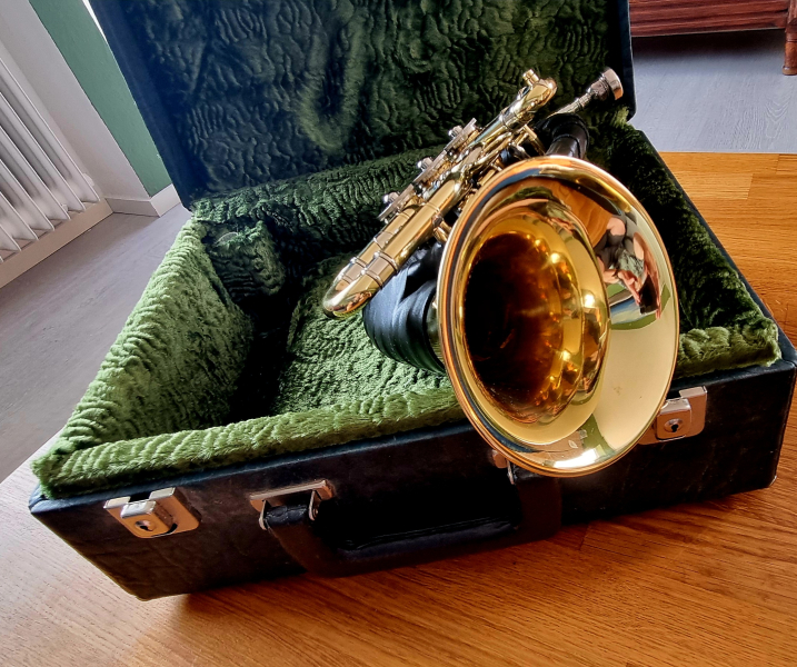 Fürst-Pless-Horn B restauriert – kuva 3