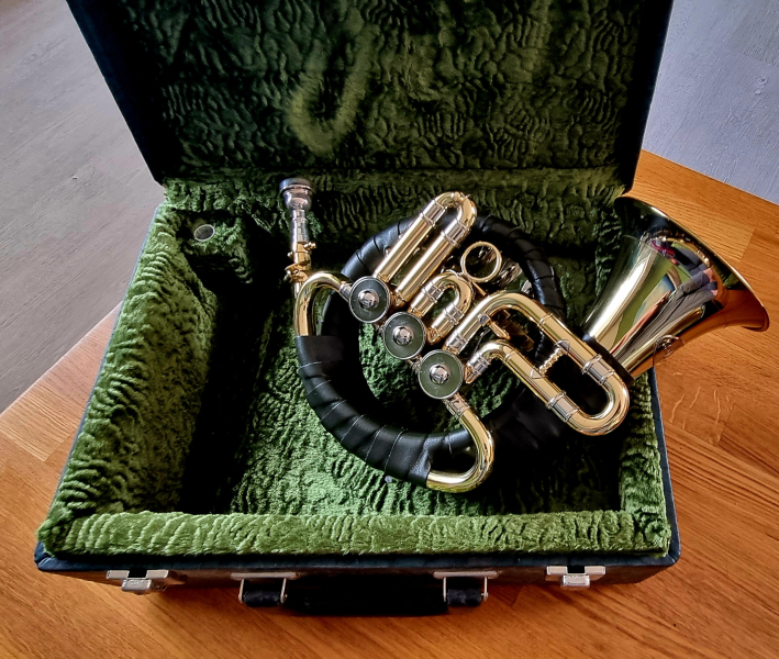Fürst-Pless-Horn B restauriert – kuva 4