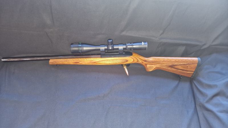 Halbautomatische Büchse Ruger Target 10/22 .22lr – immagine 2