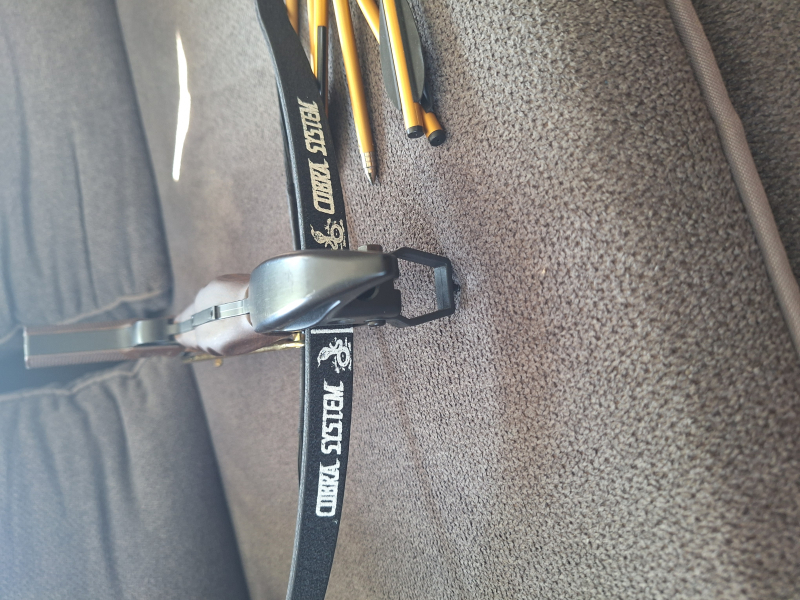 Armbrust – Bild 2