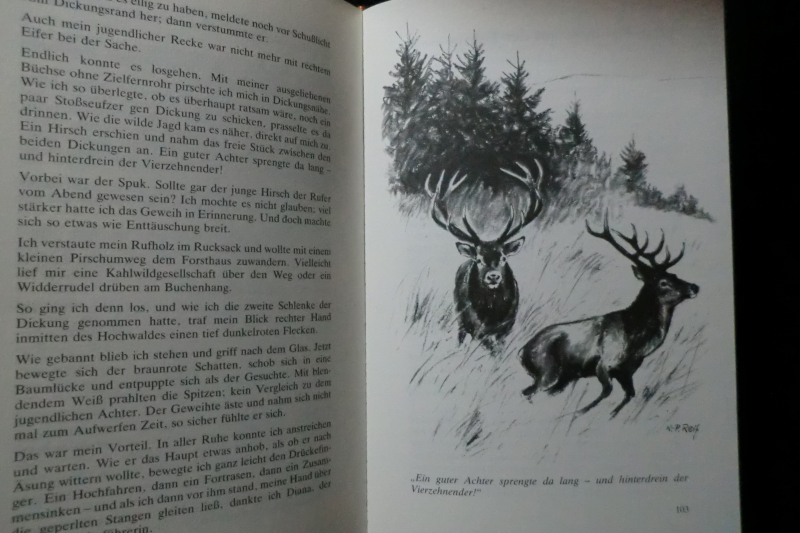 EIN JÄGERJAHR – zdjęcie 2