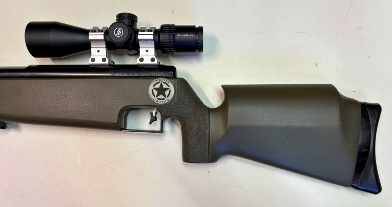 Feinwerkbau 300 S mit Optic – stampa 5