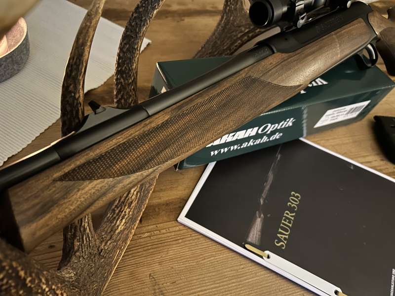 SAUER 303 – imaginea 5