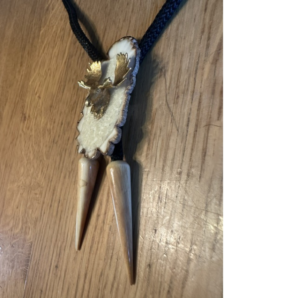 Bolokrawatte mit goldenem Elchkopf auf Geweihplatte und echten Elchgeweihspitzen - Jagdschmuck – Bild 2