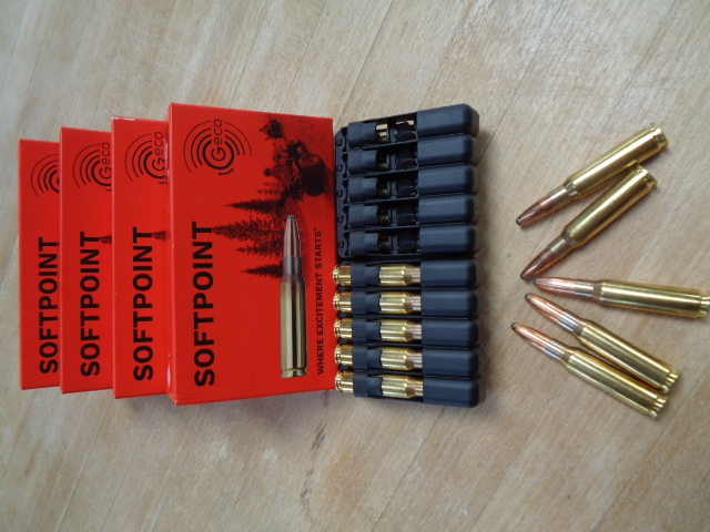 5 Schachteln (100 Stück) Patronen Geco (RWS/RUAG) 308 Win., 11,0 Gramm, 170 grain – Bild 1