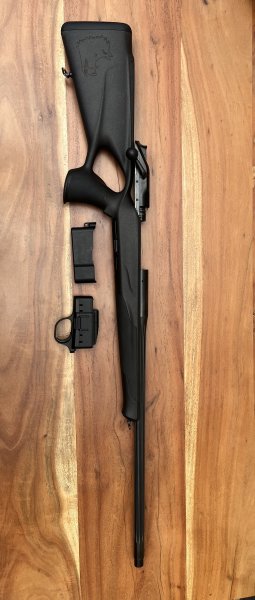 Blaser R8 Professionell Success – stampa 1