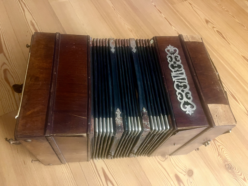 Akkordeon mit Koffer – imaginea 1