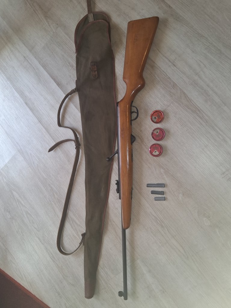 Luftgwehr 310 – Bild 1