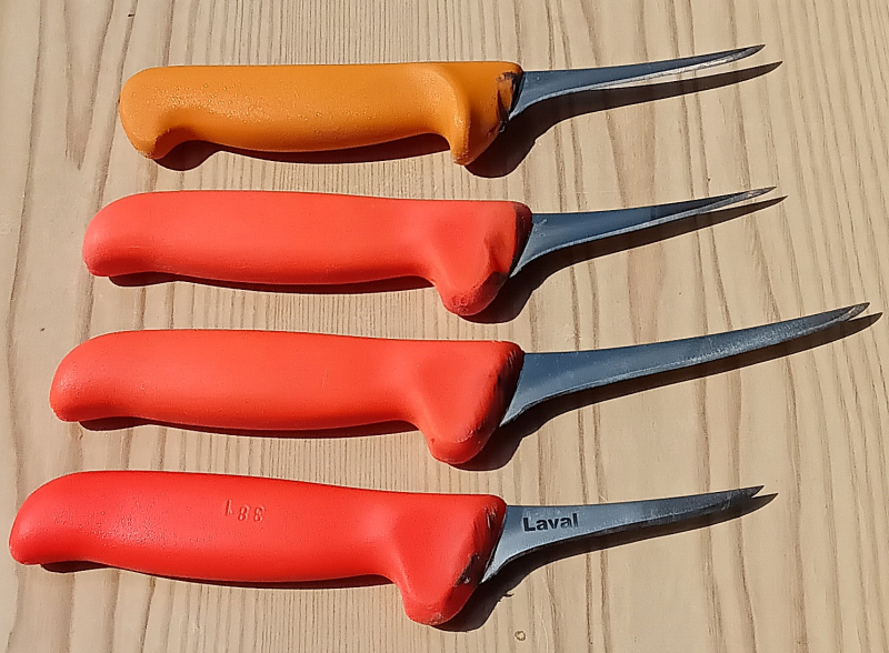 Jagdmesser Ausbeinmesser Zerlegemesser – Bild 1