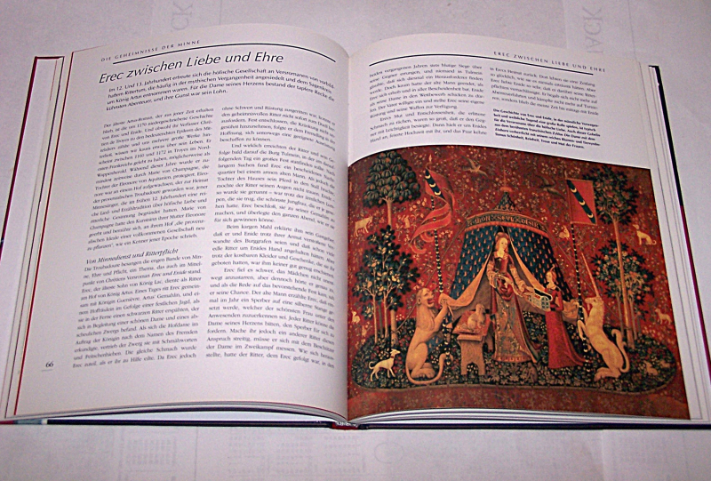 Buch "Minne und Schwert" – Bild 2