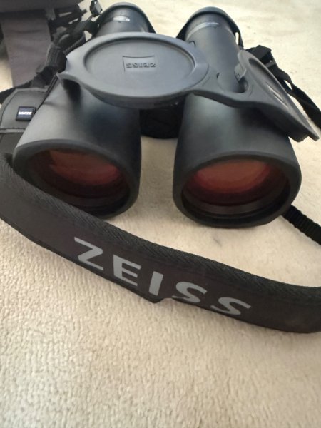ZEISS Victory RF 10x54 Fernglas – Bild 1