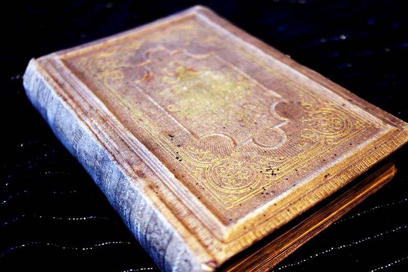 Amaranth - Oscar v. Redwik Buch aus 1874 – Bild 1